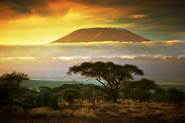 Kilimanjaro