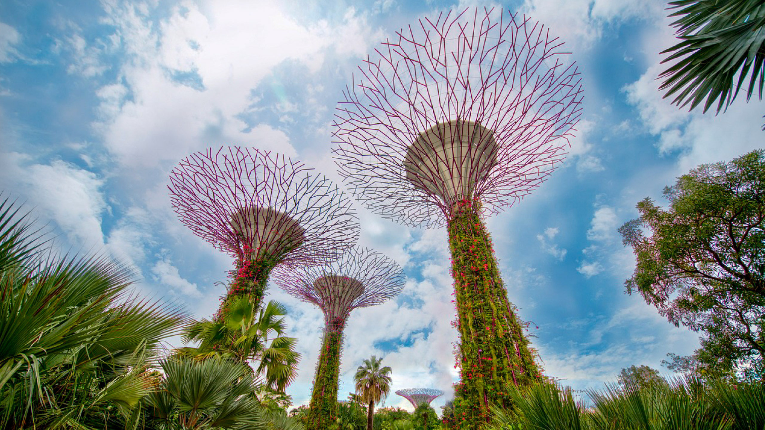 Garden By the Bay